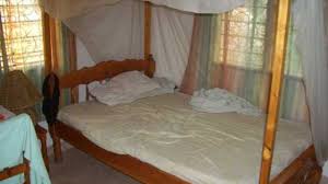 hib-bed